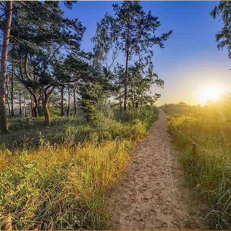 Sonneninsel Strandmoewe Erdgeschoss