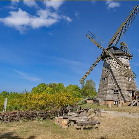 Sonneninsel Strandmoewe Erdgeschoss Loddin